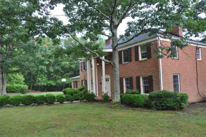 Two-Story Homes with Back View